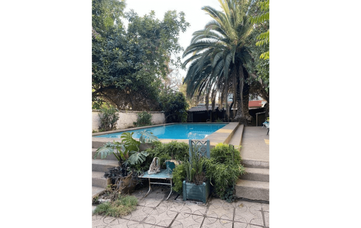 Piscina con escalinata de acceso y jardín con palmera, casa colonial en La Cisterna