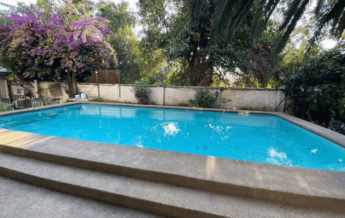 Piscina con buganvilia morada al fondo, casa estilo colonial en La Cisterna