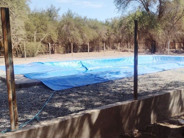 Piscina de 8x4 metros cubierta con lona, hostal en La Tirana, Pozo Almonte