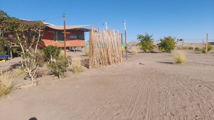 Fachada de la casa con árboles y cerco de caña, parcela en Altos de Miraflores, Pica