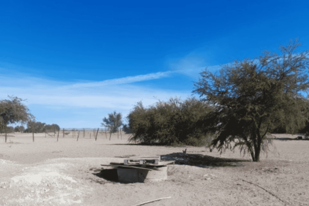 Pozo de agua tapado junto a un árbol, parcela con agua de pozo en La Tirana, Pozo Almonte