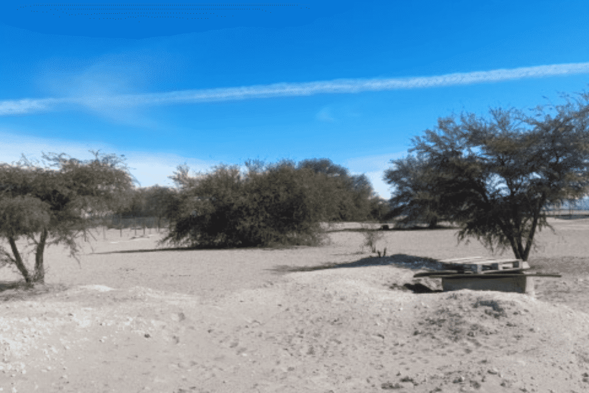 Vista del terreno con árboles y otro pozo de agua tapado, parcela en La Tirana, Pozo Almonte