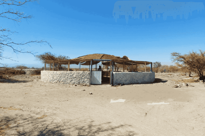 Vivero circular con muro de piedra y techo de paja, terreno productivo en La Huayca, Pozo Almonte