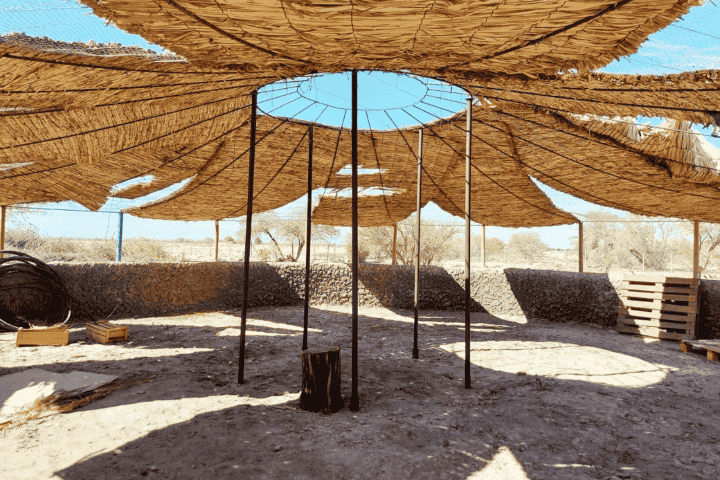 Interior del vivero circular con techo de paja y estructura de sombra, terreno productivo en La Huayca, Pozo Almonte