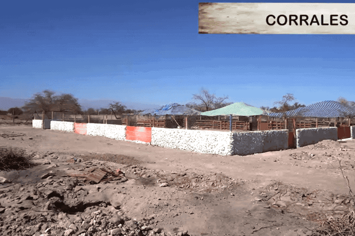Vista general de los corrales con muro de piedra y techos de lona, terreno productivo en La Huayca, Pozo Almonte