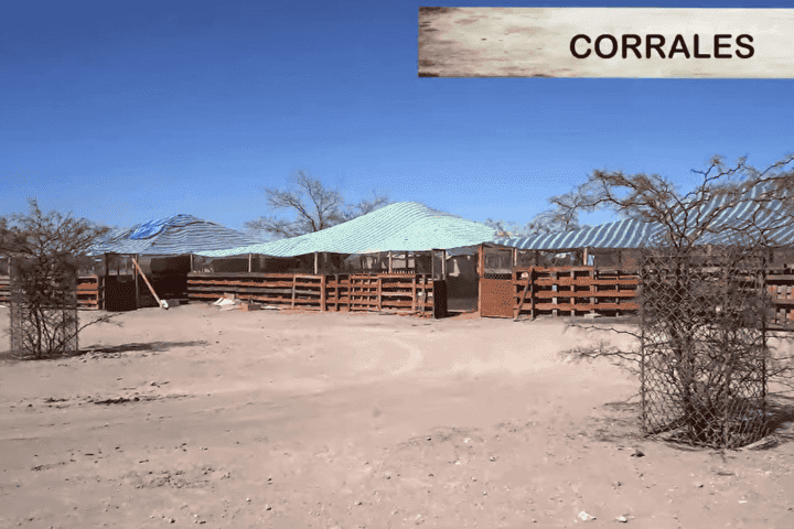Corrales de madera con techo de lona verde, terreno productivo en La Huayca, Pozo Almonte