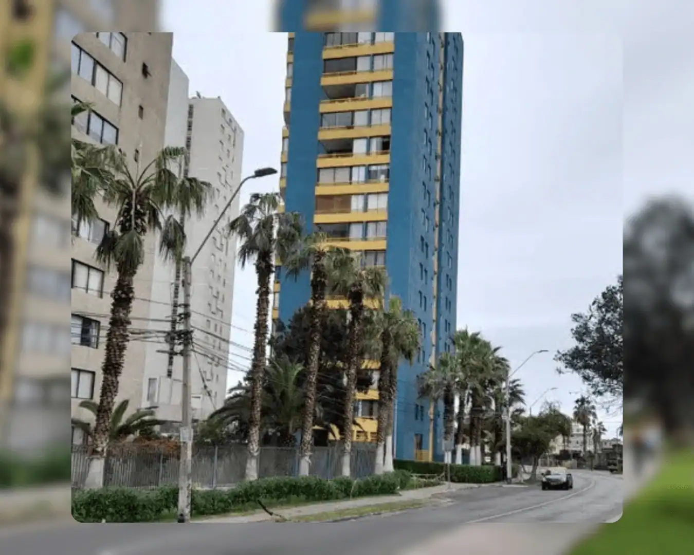 Fachada del Edificio Campanario III con palmeras en la entrada, Iquique