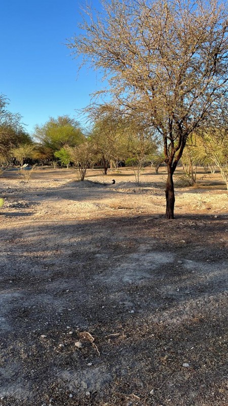 Parcelas de 5.000 m² con rol propio en Aguada de Canchones