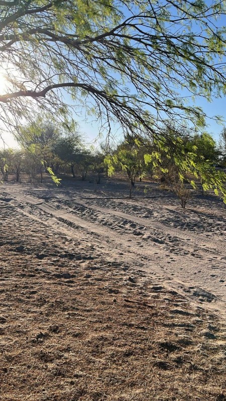 Parcelas de 5.000 m² con rol propio en Aguada de Canchones