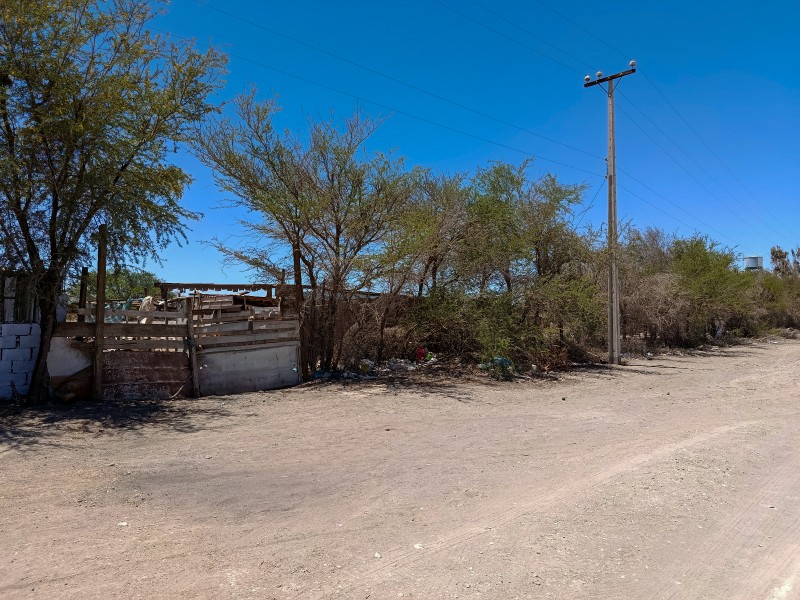 Terreno en venta en La Tirana – 5.000 m², rol propio