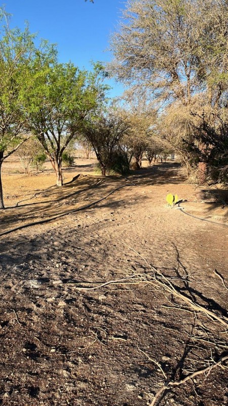 Parcelas de 5.000 m² con rol propio en Aguada de Canchones