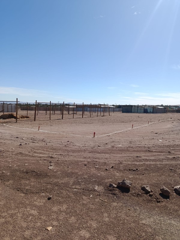 Venta terreno, Pica. 200m²