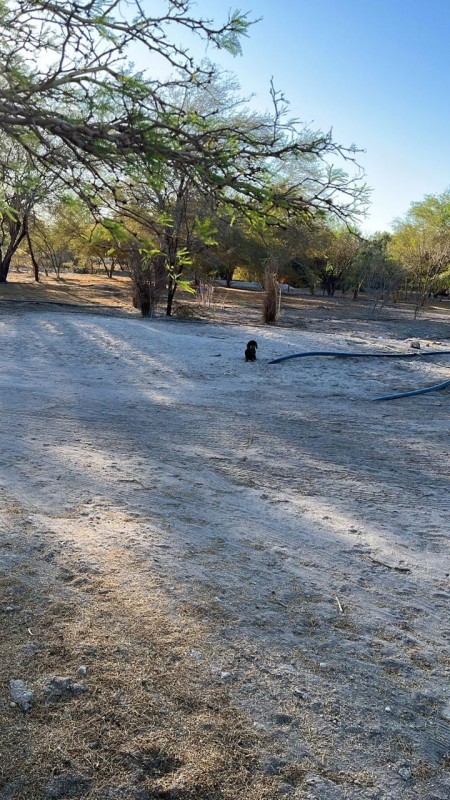 Parcelas de 5.000 m² con rol propio en Aguada de Canchones