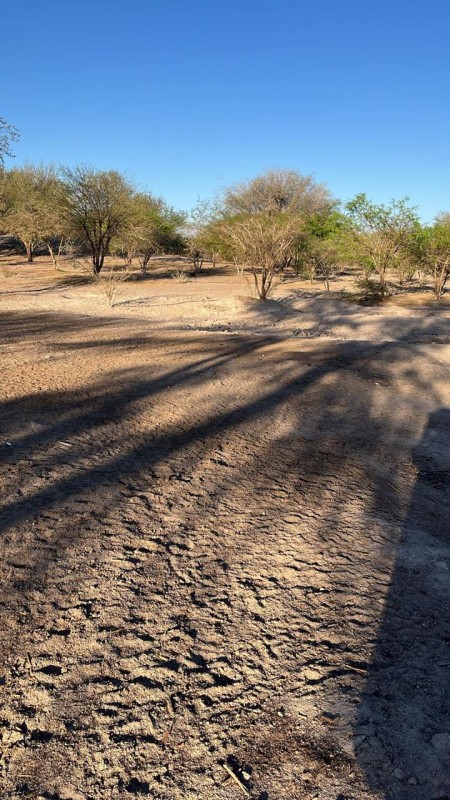 Parcelas de 5.000 m² con rol propio en Aguada de Canchones