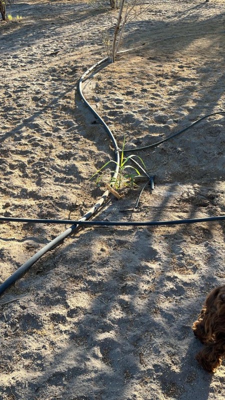 Parcelas de 5.000 m² con rol propio en Aguada de Canchones