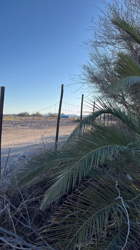 Parcelas de 5.000 m² con rol propio en Aguada de Canchones