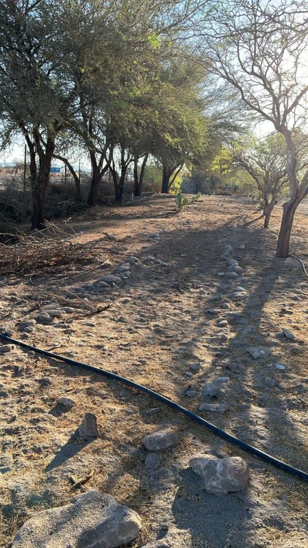 Parcelas de 5.000 m² con rol propio en Aguada de Canchones
