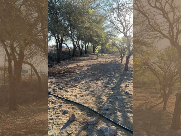 Parcelas de 5.000 m² con rol propio en Aguada de Canchones